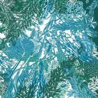 Платок Petrusse EVE SOIE MENTHE 90x90 шелк 100%