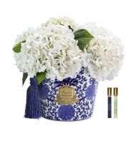 Букет гортензий Cote Noire Oriental hydrangeas ivory, 2 спрея по 10 мл