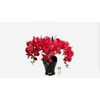 Букет орхидей Cote Noire IMPERIAL ORCHID, красный, 2 спрея по 10мл