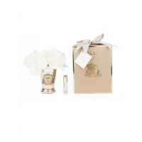 SEVEN ROSE CHAMPAGNE GOLD Букет роз цвет шампань , ваза золото, 2 спрея ВхШхД 21х17х17 см