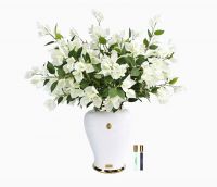 Букет буганвилла Cote Noire Imperial BOUGAINVILLEA, белый, 2 спрея по 10 мл