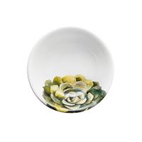 Набор из 2-х суповых тарелок 21 см, керамика, Cactus Nuova Cer