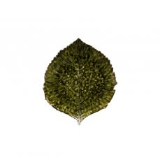 Блюдо сервировочное 22x19 см, керамика, темно-зеленый, VEP221-FRT(VEP221-00816K) Riviera COSTA NOVA