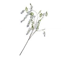 Глициния  blue  SILK-KA