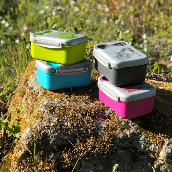 Ланч-бокс с охлаждающим элементом Wisdom N'ice Box™ Nature