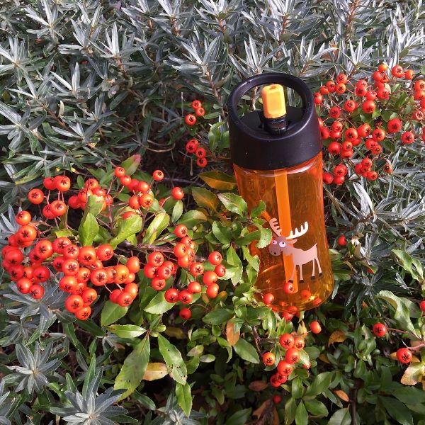 Детская бутылка для воды Carl Oscar Moose 0.35л оранжевая