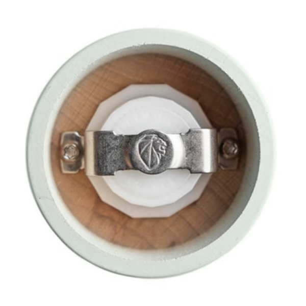 Мельница для соли Boreal Z, 21 см, цвет светло-зеленый Peugeot 4432900