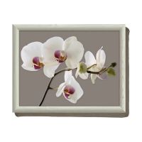 Creative Tops Поднос с подушкой Orchid Harmony