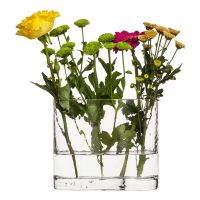 SagaForm Ваза Siluett