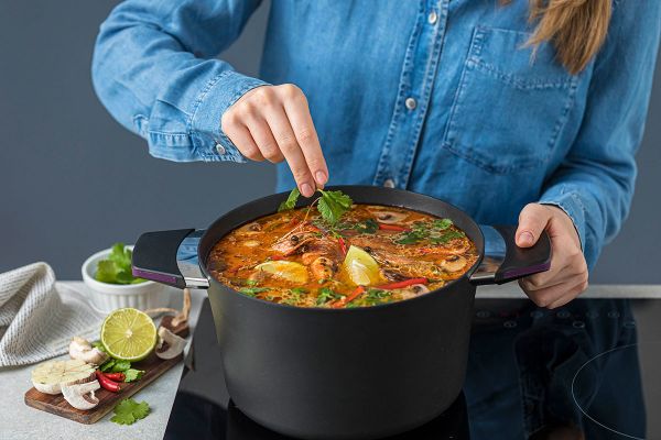Кастрюля баклажановая Индукционная ?24cm, 4 л. С крышкой и цветной упаковкой     (3)     37400v