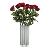 SagaForm Ваза Siluett