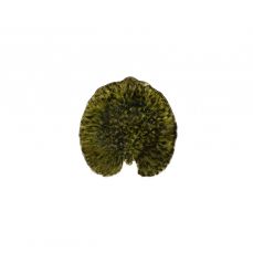 Блюдо Riviera 18 см, керамика, темно-зеленый, Costa Nova