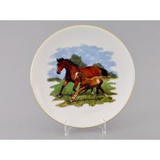 Тарелка мелкая подвесная 24 см 02110144-286D LEANDER