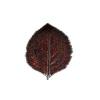 Блюдо сервировочное 22x19 см, керамика, красный/синий, VEP221-VGN(VEP221-03118Z) Riviera COSTA NOVA