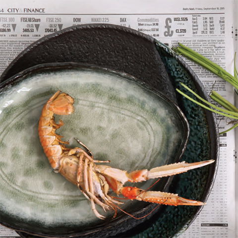 Тарелка  Glassy Green  TOKYO DESIGN