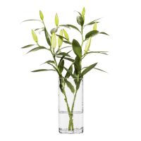 SagaForm Ваза Siluett