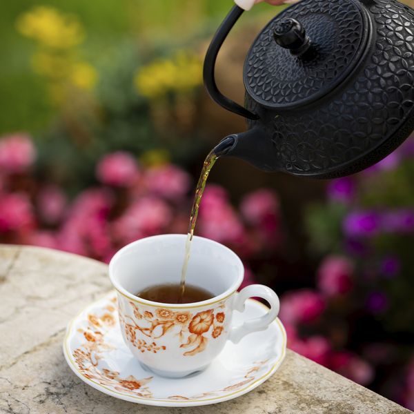 Чайная кружка 200 мл FLORENTIUS, фарфор, белый/оранжевый LE COQ