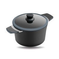 Кастрюля серая Индукционная ?20cm, 2,5 л. С крышкой и цветной упаковкой     (6)     37250g