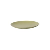 Тарелка ROOMERS TABLEWARE Tide Olive 22x2x23 см