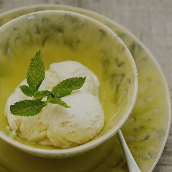 Блюдо COSTA NOVA MADEIRA green