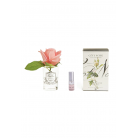 Бутон розы диффузор ROSE BUD white peach коралловый, прозрачная ваза, 1 спрей 5мл ВхШхД 13,5