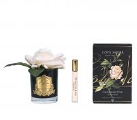 Диффузор COTE NOIRE FRENCH ROSE champagne pink,черная ваза, 1 спрей 10 мл