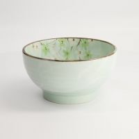 Чаша Green Cosmos 17x9 см, 950 мл, керамика TOKYO DESIGN