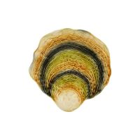 Блюдо Bordallo Pinheiro 'Oysters & Scallops', 36 см, мультиколор