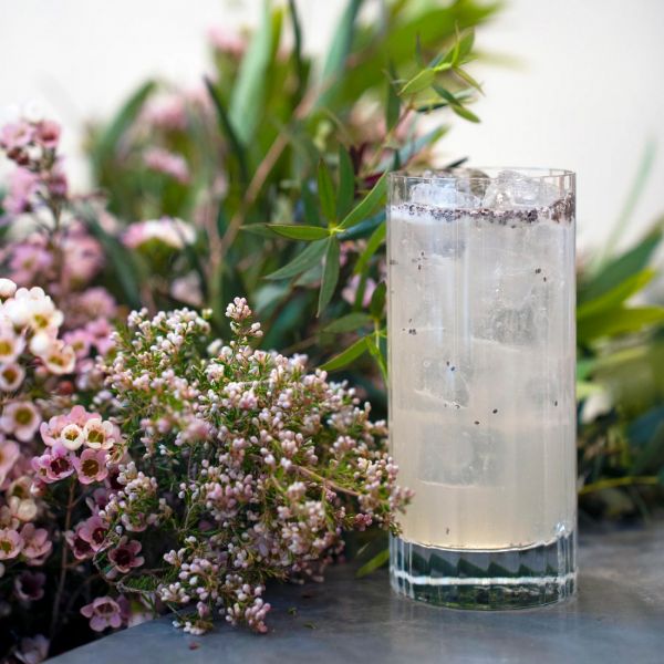 Набор из 4 стаканов для воды BIBITA 480 мл, бессвинцовый хрусталь, Bach, A10824GTY021990, LUIGI BORMIOLI