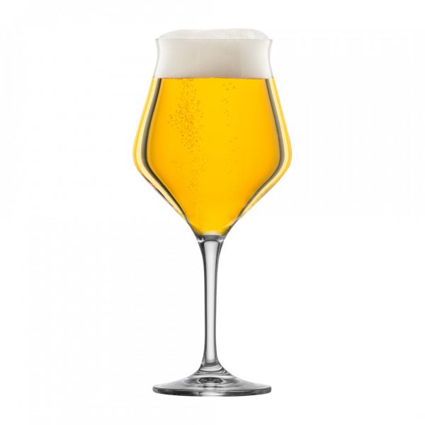 Набор из 2-х бокалов для крафтового пива 435 мл, в подарочной упаковке, Craft Beer Experts, EISCH