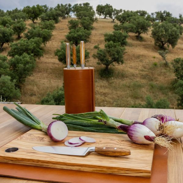 Набор кухонных ножей 5 шт, в дизайнерской подставке из бука, Amici, 1091370501, WUESTHOF