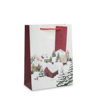 Пакет подарочный 18х24 см, бумага, бело-красный, Снежный город, Town