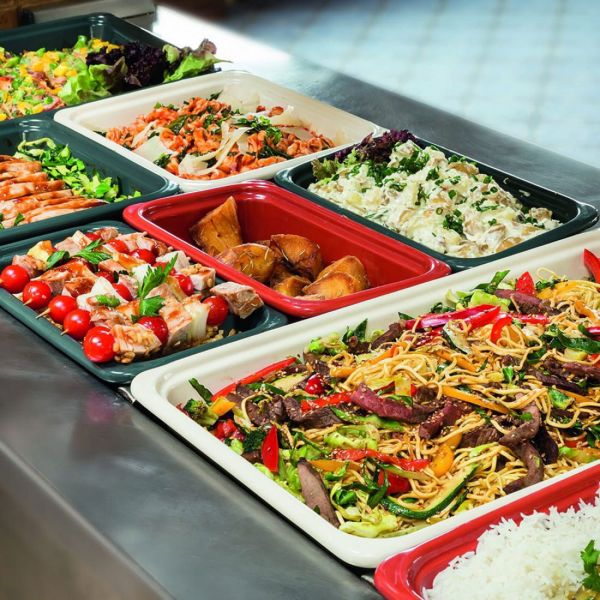 Противень - гастроформа для запекания, керамика, 53x16x6.5 см, белый EMILE HENRY
