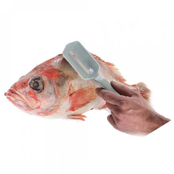 Нож для чистки рыбы с контейнером, алюминий/сталь Coated aluminium, 6500RA79, Westmark