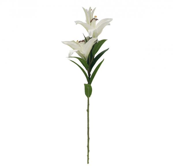 Лилия Cote Noire Loose Lilies white, белый, 80 см
