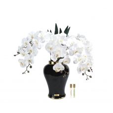 Букет орхидей Cote Noire Imperial ORCHID, белый, 2 спрея по 10 мл