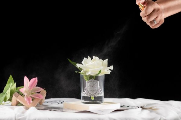Роза-диффузор FRENCH ROSE ivory, слоновая кость, прозрачная ваза, 1 спрей 10мл