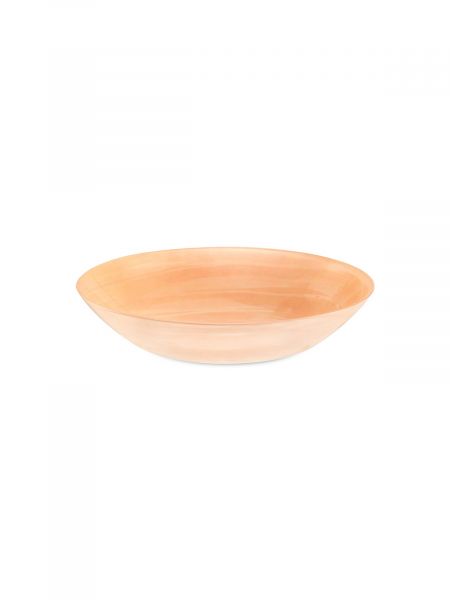 Тарелка суповая SANDRINE ROSE 21см LUMINARC