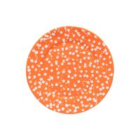 Тарелка обеденная 27.4 см, керамика, tangerine, Rafaela COSTA NOVA, DEP271-TAN(DEP271-03525C)