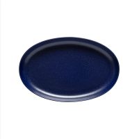 Блюдо овальное 32x20.5 см, керамика, Blueberry, PACIFICA COSTA NOVA, SOA321-BBY(SOA321-VC7210)