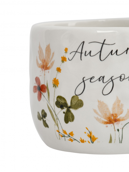 Кружка 450 мл, доломитовая керамика, молочная, Цветы и листья, Autumn motifs ANNA LAFARG