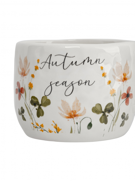 Кружка 450 мл, доломитовая керамика, молочная, Цветы и листья, Autumn motifs ANNA LAFARG