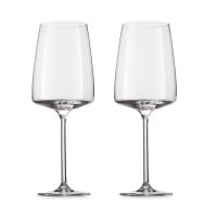 Набор бокалов для вин Fruity & Delicate объем 535 мл 2 шт ZWIESEL GLAS Vivid Senses