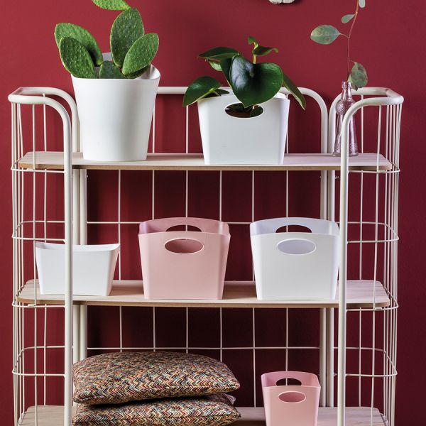 Контейнер для хранения BOXXX M Organic 3,5 л серый