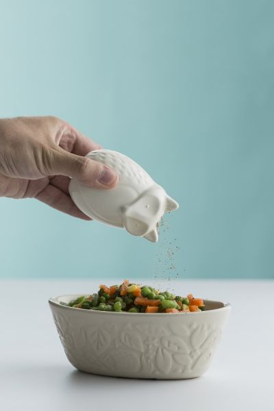 Перечница In the Forest Fox
