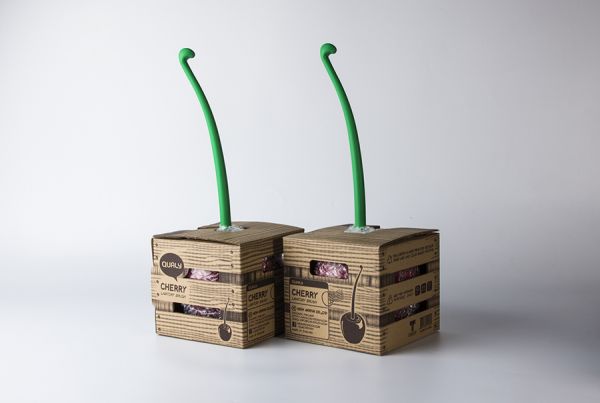 Ёршик туалетный Cherry