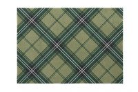 Сервировочные маты MY DRAP Green Tartan 45x32 см 2 шт 