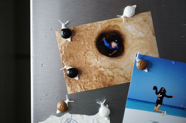 Магниты Snail 6 шт