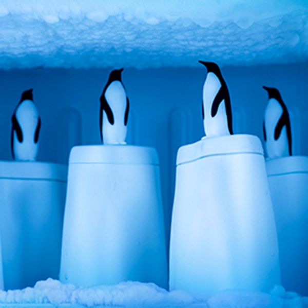 Форма для эскимо Penguin on ice