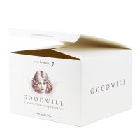 Коробка подарочная Goodwill 22х22х15 см картон